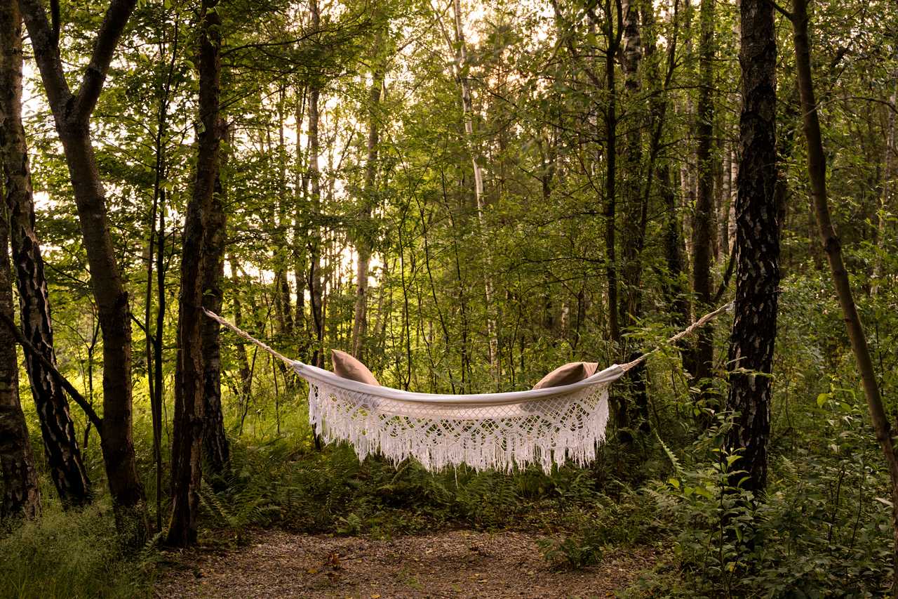 Zdjęcie lokacji Dacza Puchacza Glamping' 2