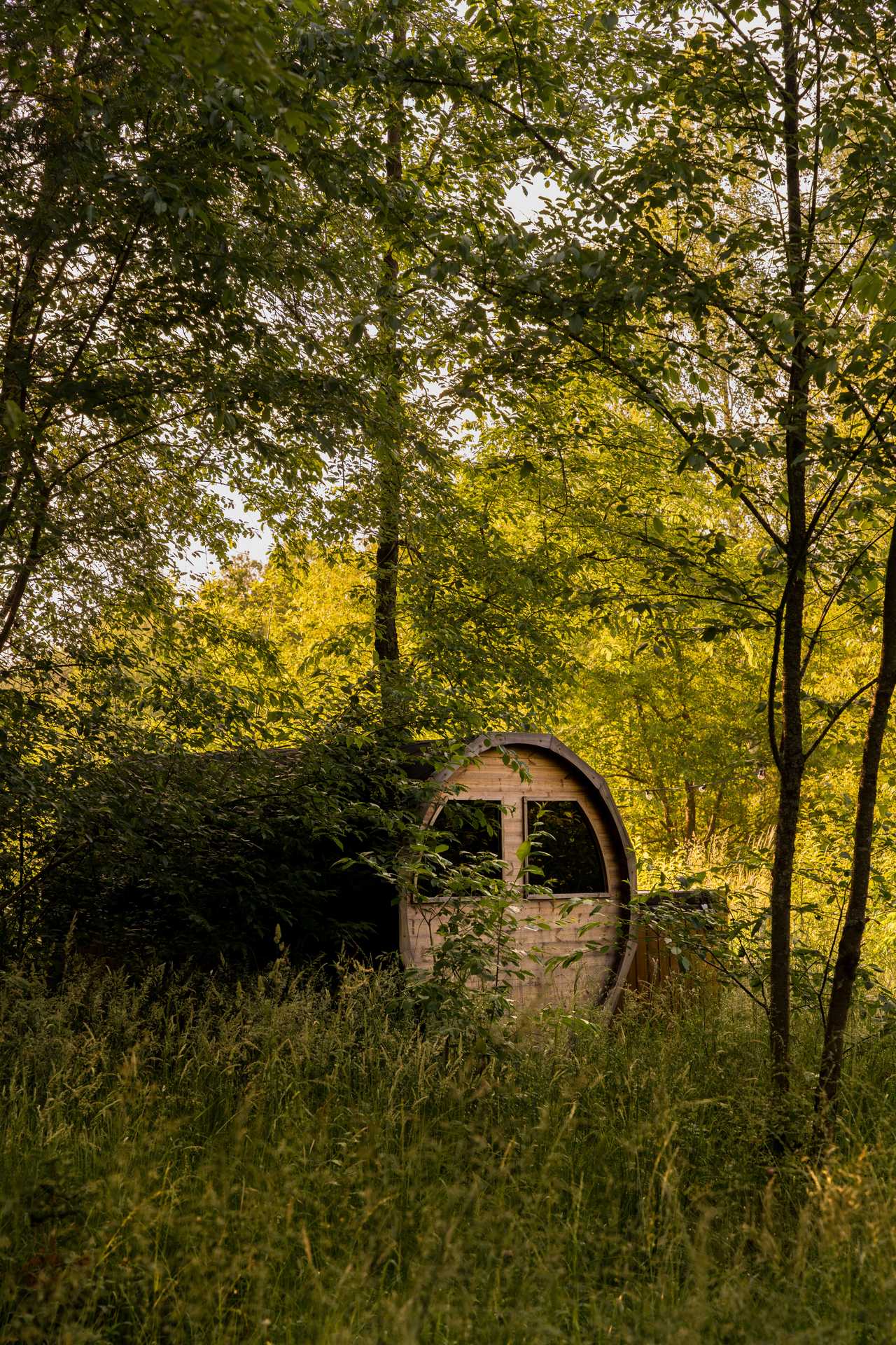 Zdjęcie lokacji Dacza Puchacza Glamping' 3