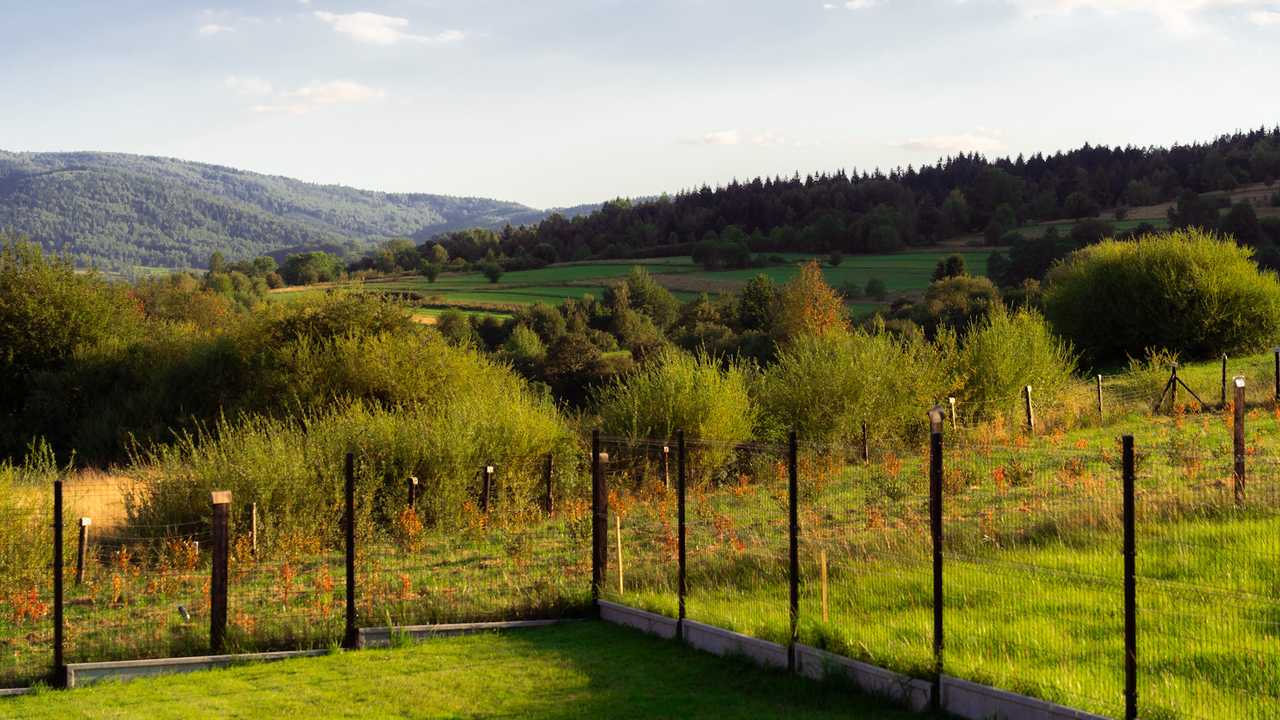 Фотографія місця Magiczny Widok Tiny House' 4