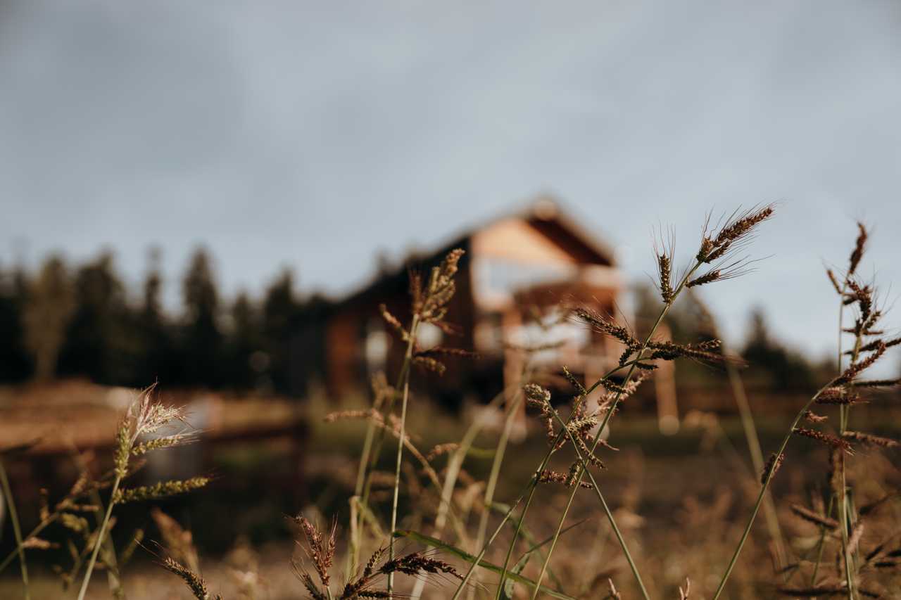Zdjęcie lokacji Dream Catcher House' 1
