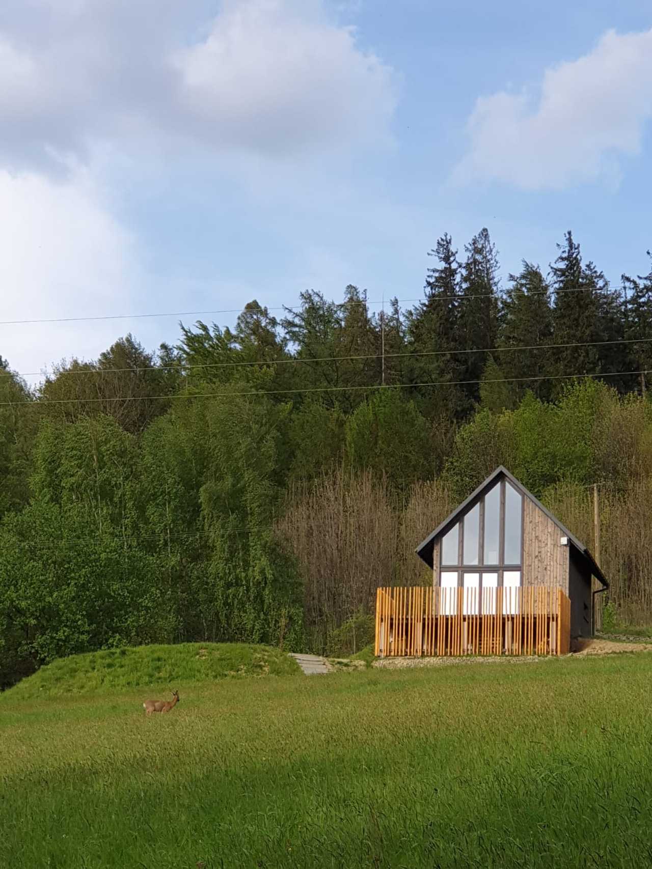 Zdjęcie lokacji Zimna Woda 50