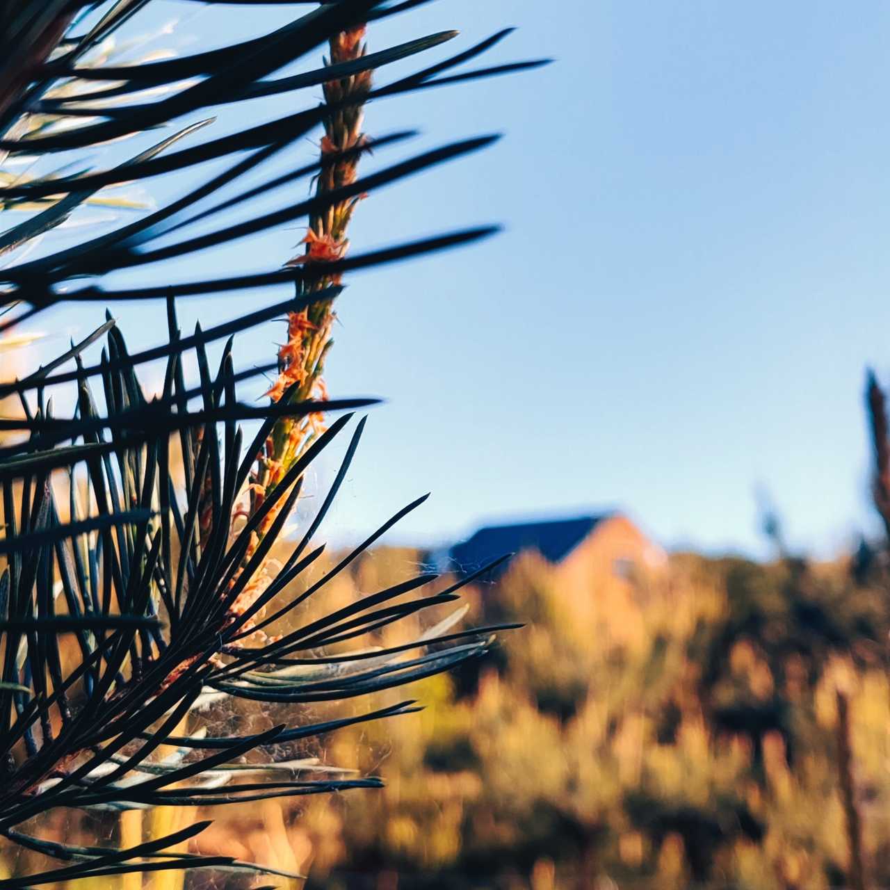 Zdjęcie lokacji Przyjedź Tutaj' 1