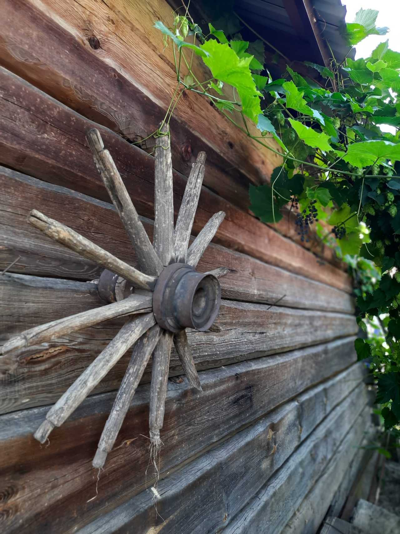 Location picture Chałupka na Brodziakach' 3