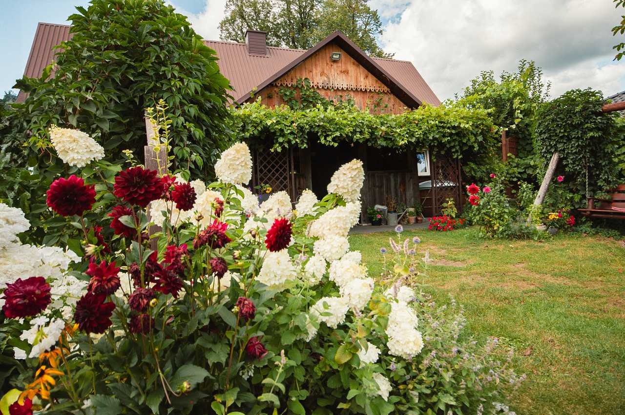 Location picture Chałupka na Brodziakach