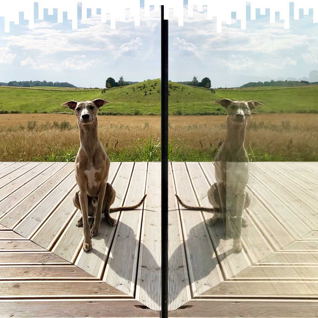 Zdjęcie lokacji Dom w Zbożu' 1